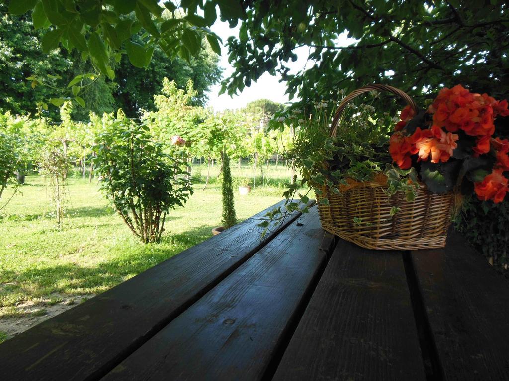 Al Pic De Corone Bed & Breakfast Terzo d' Aquileia Dış mekan fotoğraf