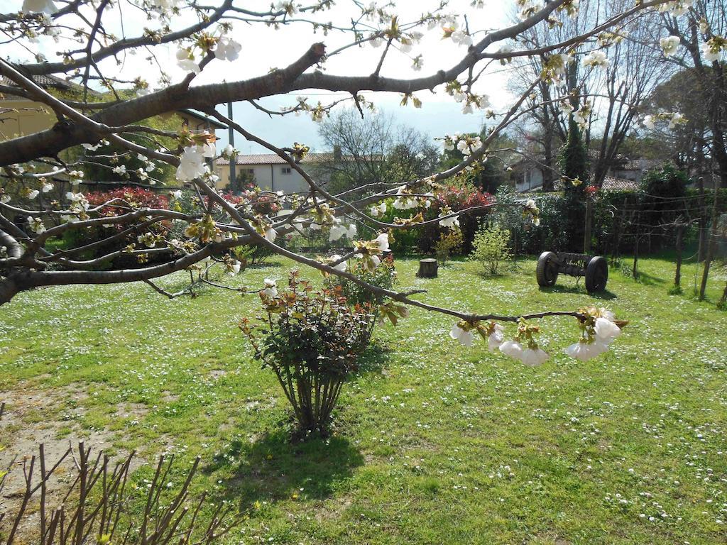 Al Pic De Corone Bed & Breakfast Terzo d' Aquileia Dış mekan fotoğraf