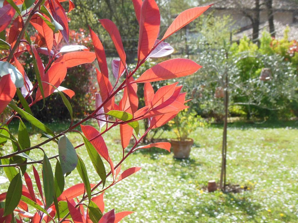 Al Pic De Corone Bed & Breakfast Terzo d' Aquileia Dış mekan fotoğraf