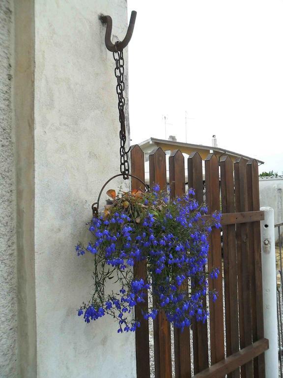 Al Pic De Corone Bed & Breakfast Terzo d' Aquileia Dış mekan fotoğraf