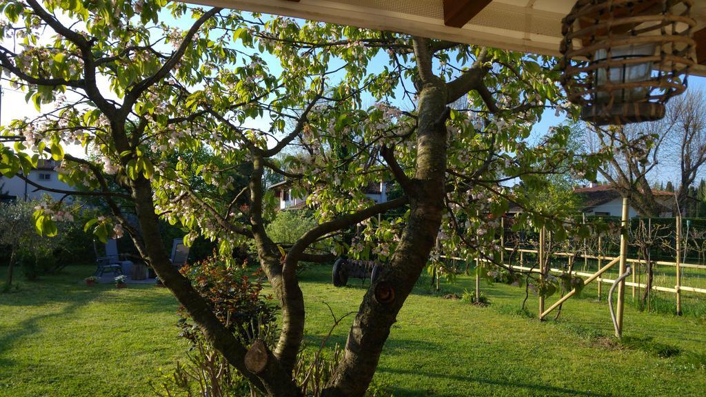 Al Pic De Corone Bed & Breakfast Terzo d' Aquileia Dış mekan fotoğraf