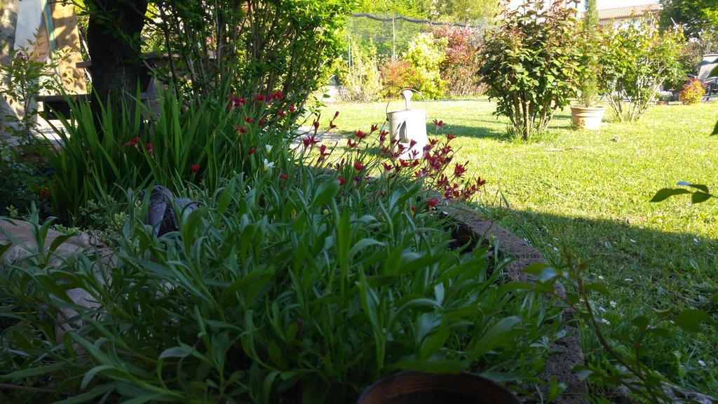 Al Pic De Corone Bed & Breakfast Terzo d' Aquileia Dış mekan fotoğraf
