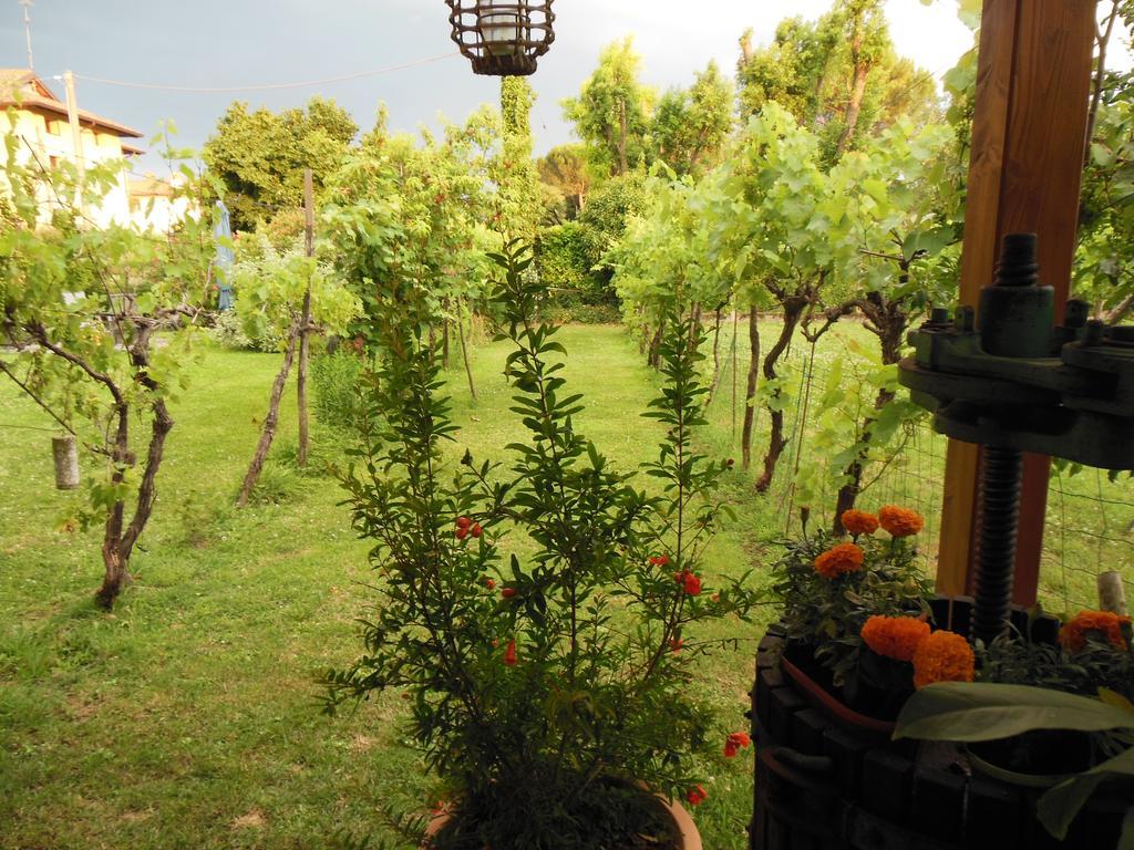 Al Pic De Corone Bed & Breakfast Terzo d' Aquileia Dış mekan fotoğraf