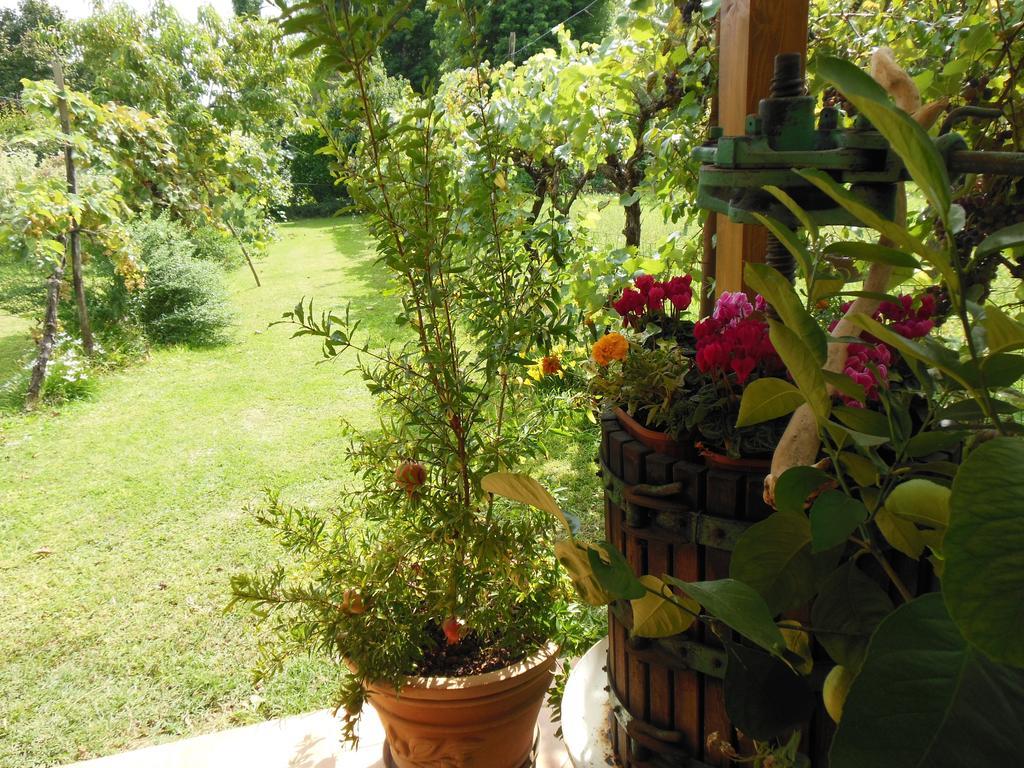Al Pic De Corone Bed & Breakfast Terzo d' Aquileia Dış mekan fotoğraf