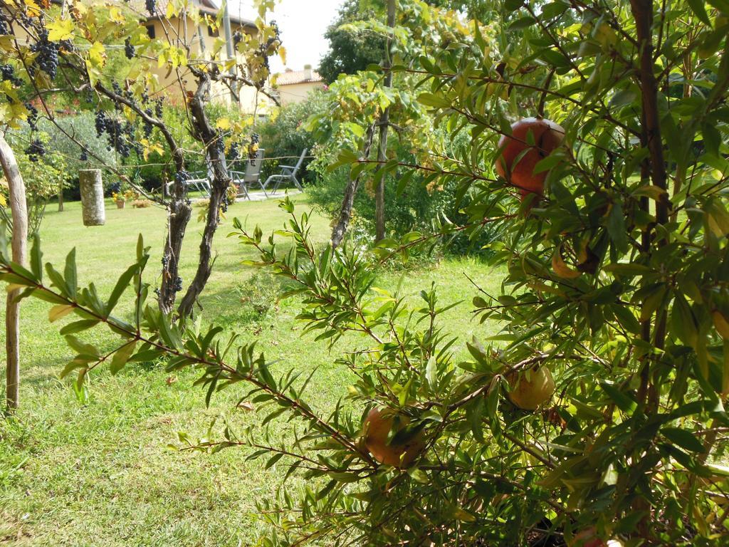 Al Pic De Corone Bed & Breakfast Terzo d' Aquileia Dış mekan fotoğraf